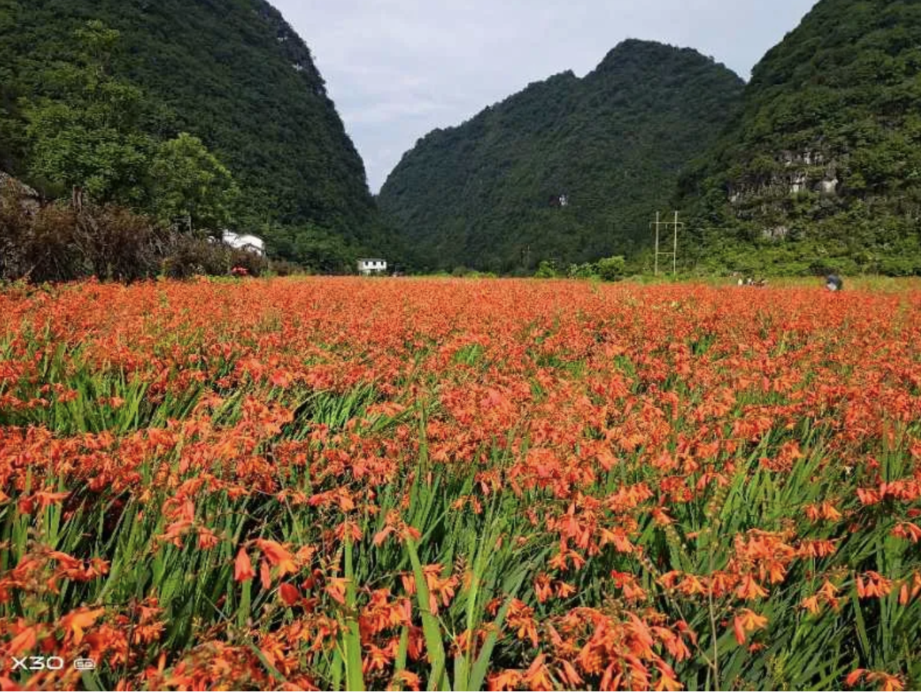 长顺百姓靠着好山好水“卖风景”，吃上“旅游饭”！”