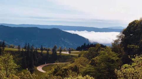 五一去哪儿？康养胜地雅安海子山，养生的同时又好耍！”