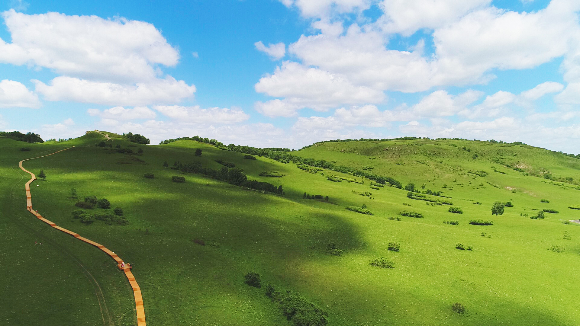 七月，约起来！看御道口草原最美的风景”